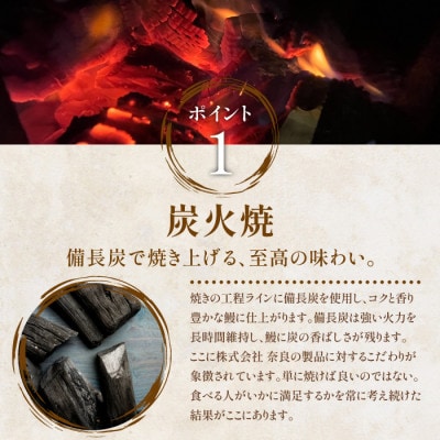 鹿児島県産 うなぎの蒲焼 ハーフ6袋 と 刻みうなぎ4袋 セット 027-1289 鰻蒲焼