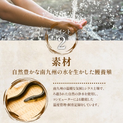 鹿児島県産 うなぎの蒲焼 ハーフ6袋 と 刻みうなぎ4袋 セット 027-1289 鰻蒲焼