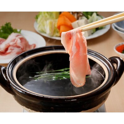 【数量限定】かごしま黒豚 ローススライス・とんかつセット計1.8kg(JA)A-354