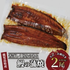 鹿児島県産 鰻の蒲焼(無頭背開き)約165g&times;2尾(山中水産/016-1065)