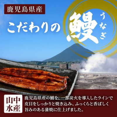 鹿児島県産 鰻の蒲焼(無頭背開き)約165g×2尾(山中水産/016-1065)