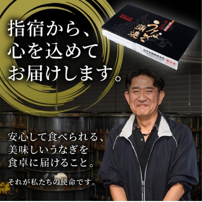 鰻の蒲焼(無頭背開き)約165g×4尾(033-1066)
