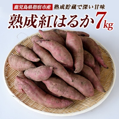 指宿産 紅はるか 約7kg(A-301)