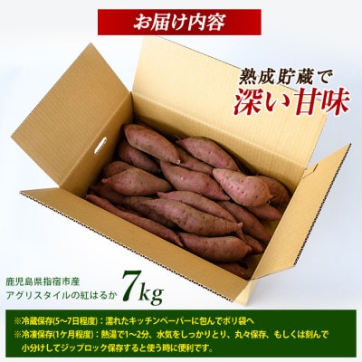 指宿産 紅はるか 約7kg(A-301)