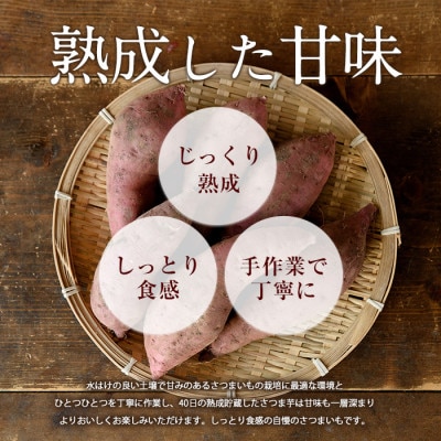【2026年11月上旬～発送】指宿産 紅はるか 約7kg(IB066-006)