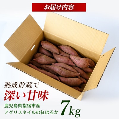 【2026年11月上旬～発送】指宿産 紅はるか 約7kg(IB066-006)
