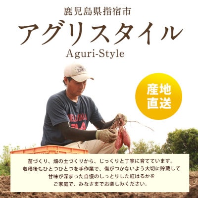 指宿産 紅はるか 約7kg(A-301)