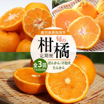 【全3回定期便】みかん尽くし定期便(Z035-1868)
