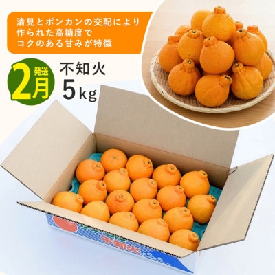 【全3回定期便】みかん尽くし定期便(Z035-1868)