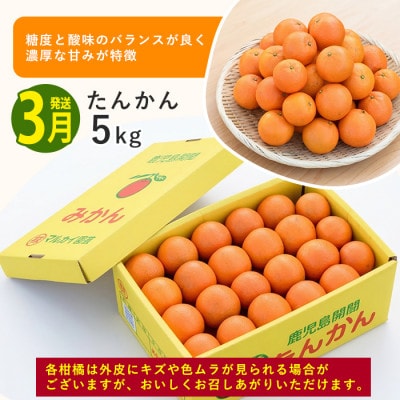 【全3回定期便】みかん尽くし定期便(Z035-1868)