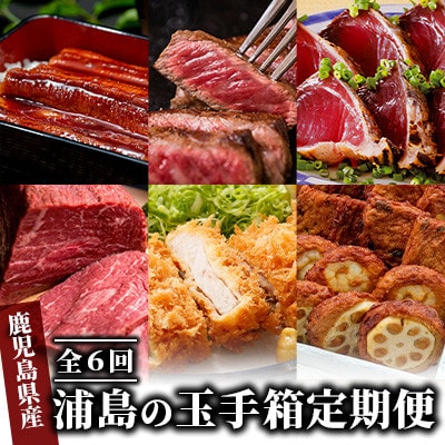 【全6回定期便】浦島の玉手箱定期便(Z120-475)