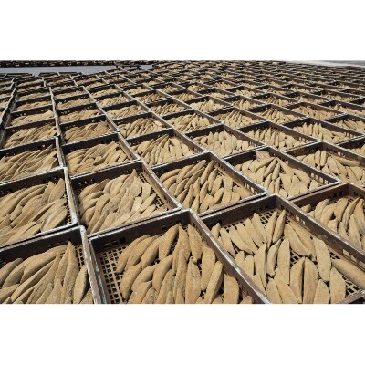 【全6回定期便】鰹本枯れ節定期便(Z-016)