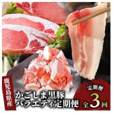 【全3回定期便】かごしま黒豚バラエティ定期便(Z032-323)
