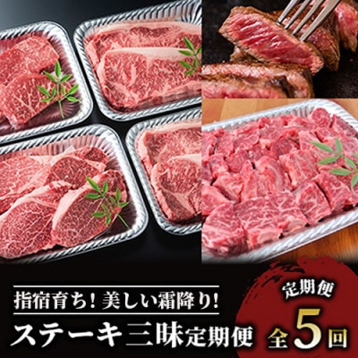 全5回 大満足 黒毛和牛 ステーキ 三昧 定期便 Z-047 黒毛姫牛 サーロイン モモ フィレ