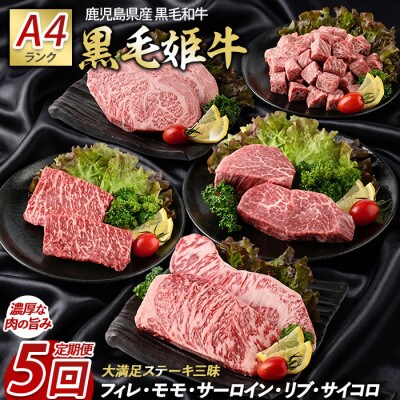 【全5回定期便】 大満足 ステーキ 三昧 定期便 (IBZ029-001)