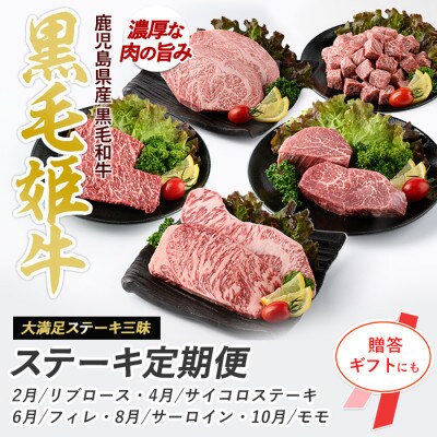 【全5回定期便】 大満足 ステーキ 三昧 定期便 (IBZ029-001)