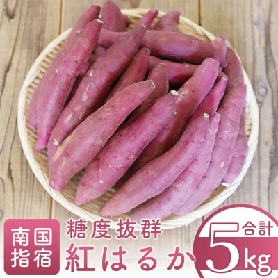 糖度抜群 あま～い!「紅はるか芋」約5kg(A-113)