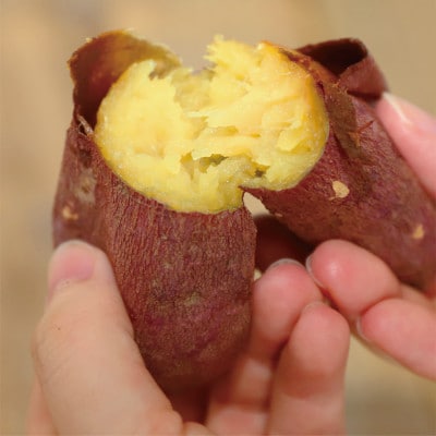糖度抜群 あま～い!「紅はるか芋」約5kg(A-113)