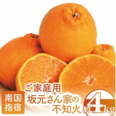 みかん農家　坂元さんちの不知火ご家庭用4kg程度(A-085)
