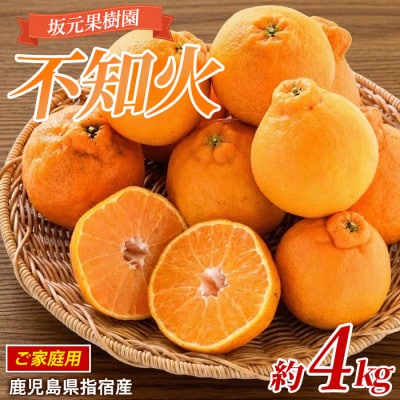 みかん農家 坂元さんちの 不知火 ご家庭用 約4kg程度(A-085)