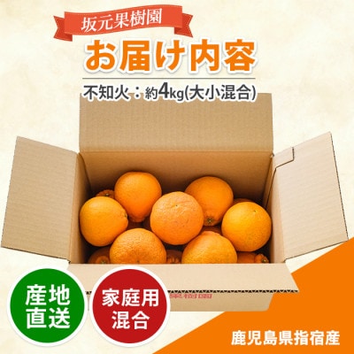 みかん農家 坂元さんちの 不知火 ご家庭用 約4kg程度(A-085)