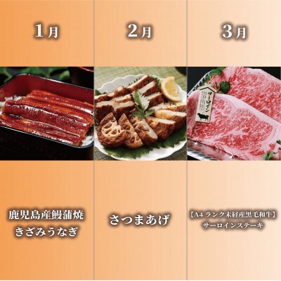 【全12回定期便】指宿のたまて箱乙姫コース(Z300-662)