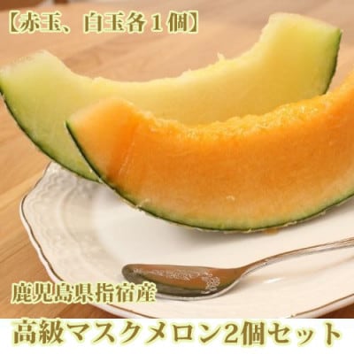 鹿児島県指宿産 高級マスクメロン赤玉・白玉2個セット(016-1295