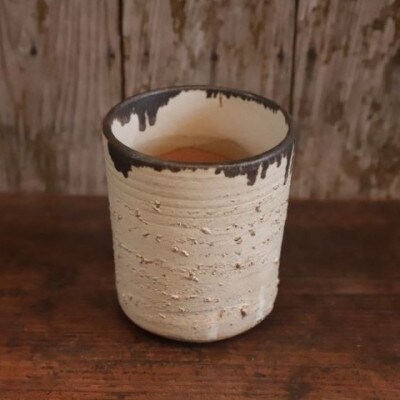 【観葉植物】観葉植物と陶芸のコラボ!パンダガジュマル3.5号陶器鉢カバー入り(前園植物園)E-068