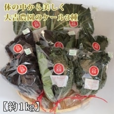 体の中から美しく!大吉農園のケール3種約1kg(大吉農園)A-369