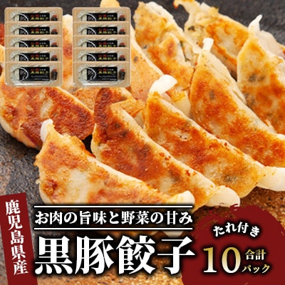 【中華料理紅龍こだわりの手打ち餃子】黒豚餃子10パック(岡村商店)A-367