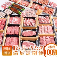 【全10回定期便】鹿児島自慢の豚・牛・うなぎ 満足定期便(Z100-528) | ふるさと納税のお礼品