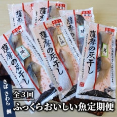 【全3回定期便】ふっくらおいしい魚定期便(Z-057)