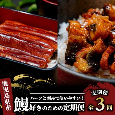【全3回定期便】鰻好きのための定期便(Z075-477)