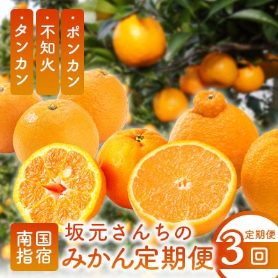 【全3回定期便】坂元さんちのみかん定期便(Z-059)