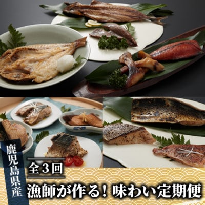 【全3回定期便】漁師が作る!味わい定期便(新)(Z-052)