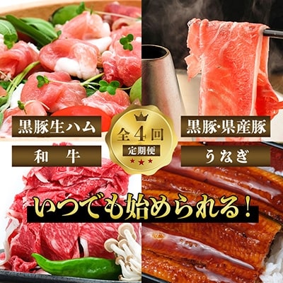【全4回】豚・牛・うなぎ　鹿児島よくばり定期便Z-080