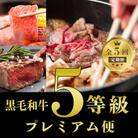 全5回 鹿児島県産 黒毛和牛 5等級 定期便 Z-077 ヒレ ステーキ サーロイン すき焼き
