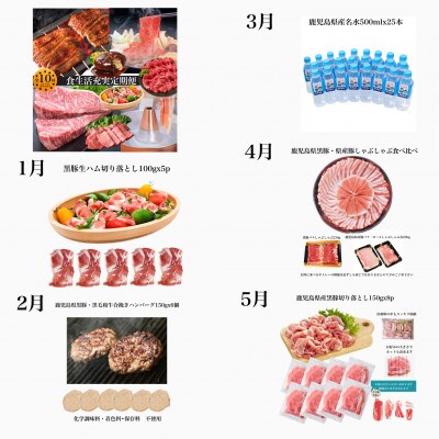 【全10回定期便】数量限定!黒豚・うなぎ・和牛・名水　食生活充実定期便(Z100-535)