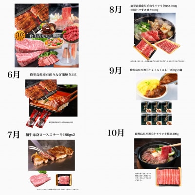 【全10回定期便】数量限定!黒豚・うなぎ・和牛・名水　食生活充実定期便(Z100-535)