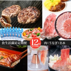 【全12回定期便】数量限定!肉・うなぎ・水 食生活満足定期便(Z100-599)