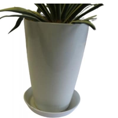 観葉植物 ユッカグロリオサ7号 Green Farm M T 065 お礼品詳細 ふるさと納税なら さとふる