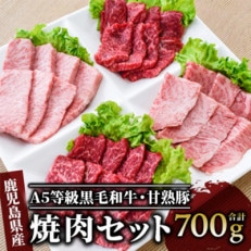 A5等級鹿児島県産黒毛和牛&鹿児島県産甘熟豚の焼肉セット700g(カミチク)B-063