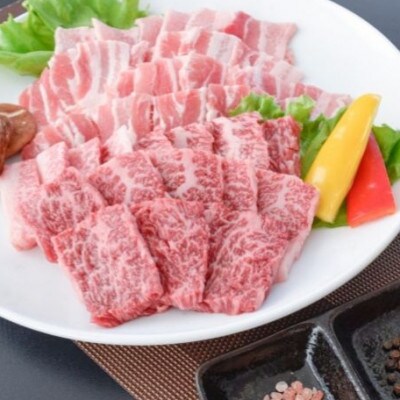 A5等級鹿児島県産黒毛和牛&鹿児島県産甘熟豚の焼肉セット700g(016-1192)