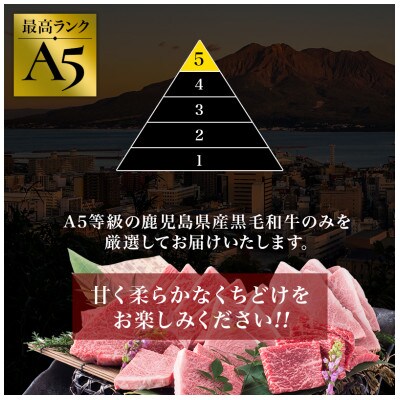 A5等級鹿児島県産黒毛和牛&鹿児島県産甘熟豚の焼肉セット700g(016-1192)