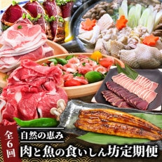 【全6回定期便】「自然の恵み」肉と魚の食いしん坊定期便(Z-071)