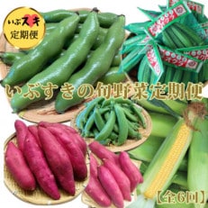 【全6回定期便】いぶすきの旬野菜定期便(Z-070)