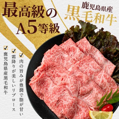 A5等級鹿児島県産黒毛和牛霜降りリブローススライス400g(016-1195)