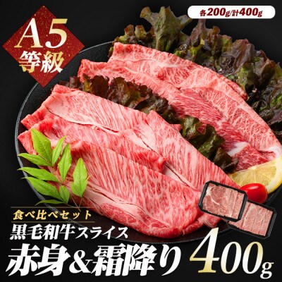 A5等級鹿児島県産黒毛和牛2種のスライスセット400g(カミチク)A-409