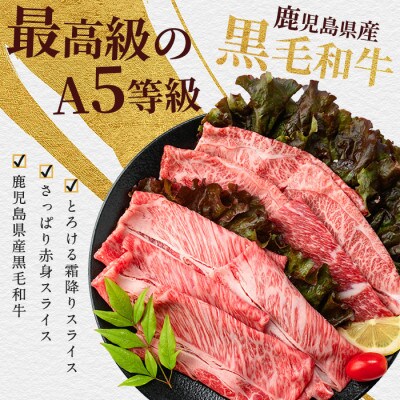 A5等級鹿児島県産黒毛和牛2種のスライスセット400g(カミチク)A-409