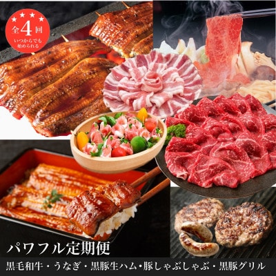 【全4回定期便】鹿児島自慢豚・牛・うなぎ パワフル定期便(Z050-530)